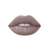 Dido Cosmetics Rich Matte Lipstick 502