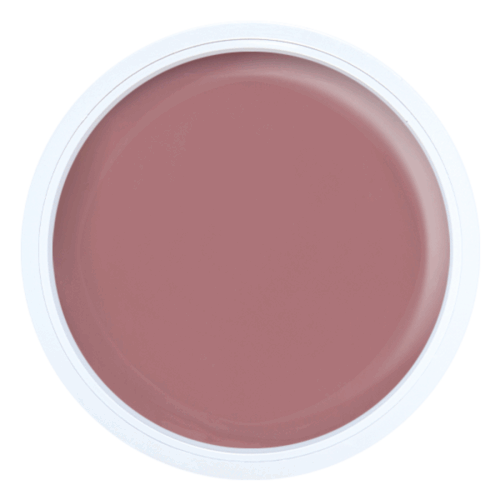 Alezori Vintage Builder Gel Medium Corsage (NPJ) 25gr