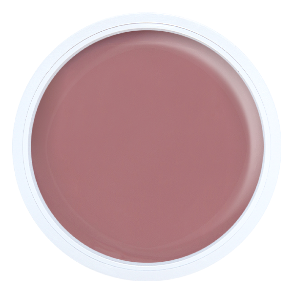 Alezori Vintage Builder Gel Medium Corsage (NPJ) 25gr