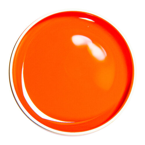 Alezori Painting Gel Orange 10gr