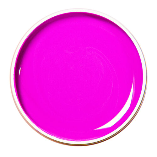 Alezori Painting Gel Purple 10gr